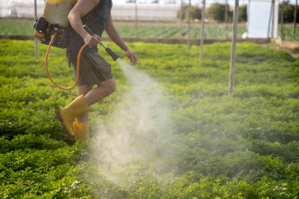 Pest Control Cost in Helena West Helena, AR