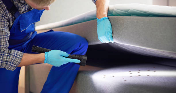 Professional Pest Control in Helena West Helena, AR