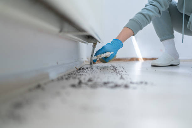 Professional Pest Control in Helena West Helena, AR