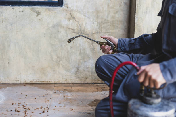 Best Pest Inspection Near Me  in Helena West Helena, AR